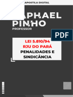 LEI #5.810 DE 94 - RJU PARÁ - PENALIDADES E SINDICÂNCIA - Professor Raphael Pinho