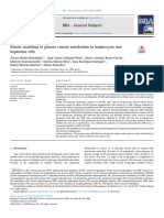 FIG2b - Metodology and Fluxes Meaning Kinetic Modeling of Glucose Central Metabolism in Hepatocytes and Hepatoma Cells