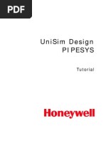 UniSim Design PIPESYS Tutorial