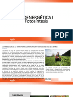 Alfa Fotosíntesis PDF