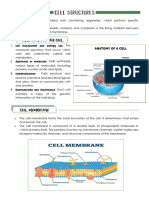 Cell Structures