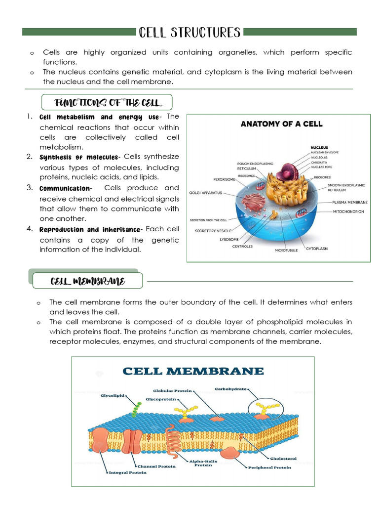 cell-structures-pdf-cell-membrane-cell-biology