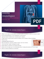 Aula II Sistema Imunologico