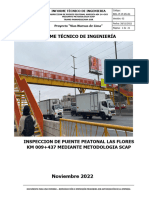 Informe de Inspeccion - PV-LAS FLORES