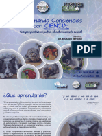 Curso Cognicion DrReynoso