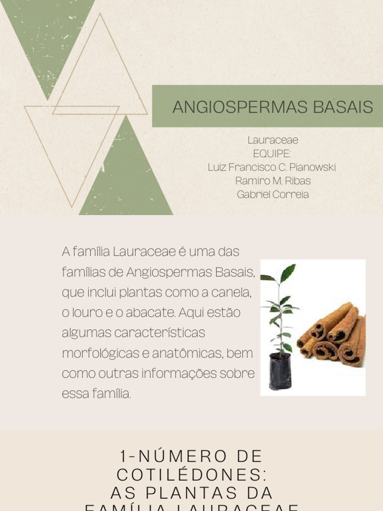 lauraceae-pdf