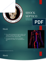 Shock Séptico