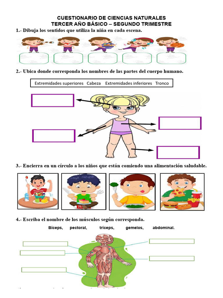 Cuestionario de Ciencias Naturales Segundo Trimestre PDF