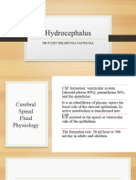 Hydrocephalus Undergraduate 1