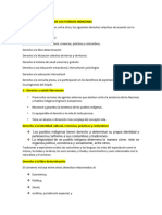 Derechos Colectivos de Los Pueblos Indigenas