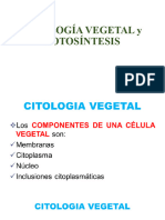1.4. Citología Vegetal y Fotosíntesis (Wecompress.com)