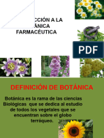 1.1. Introducción a La Botánica