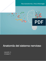 U2 1 Neuroanatomía Neurofisiología