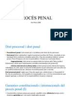 Procés Penal