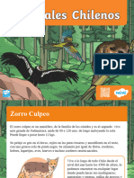 PowerPoint Animales de Chile y Sus Características