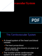 Cardiovascular System