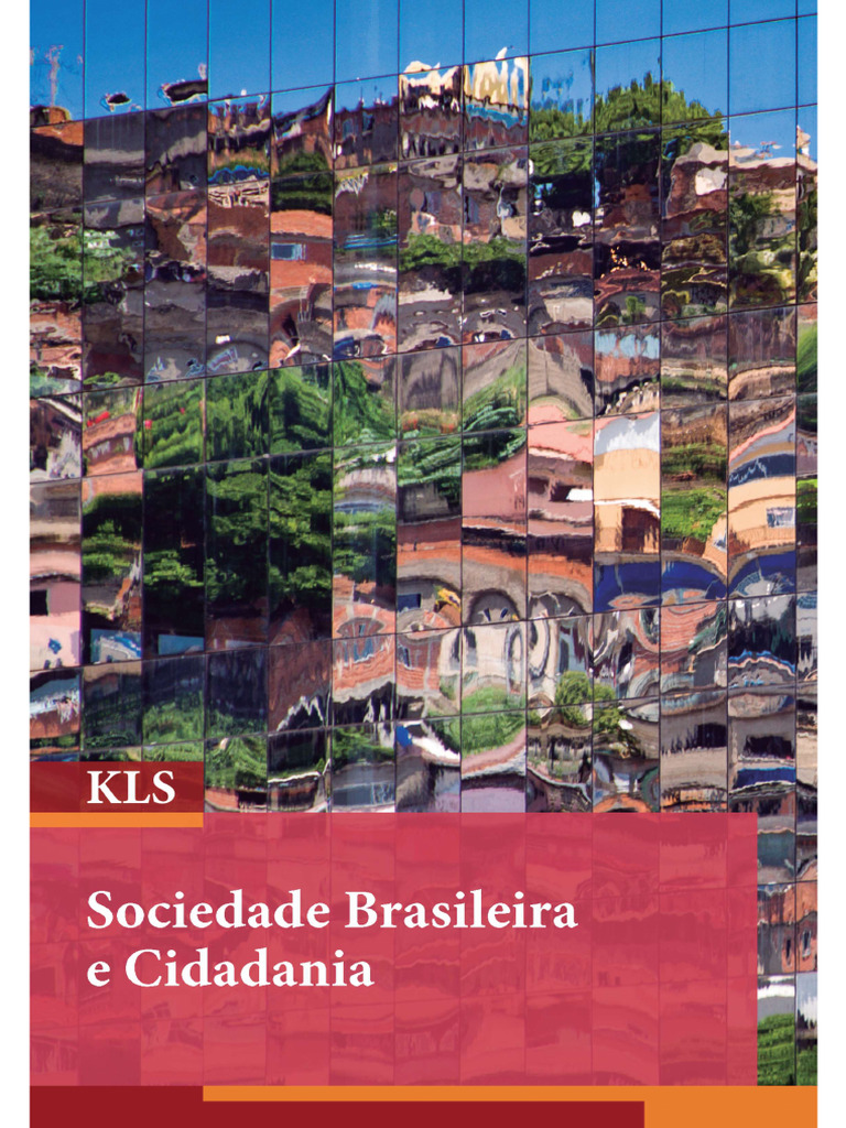 Sociedade Brasileira e Cidadania | PDF