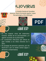 Polio Virus - Exposición