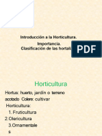 Clasificación de Las Hortalizas