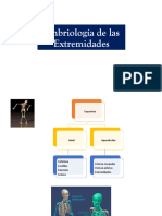 Embriologia de Las Extremidades Dra.v.vasquez