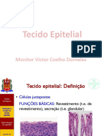 Tecido Epitelial