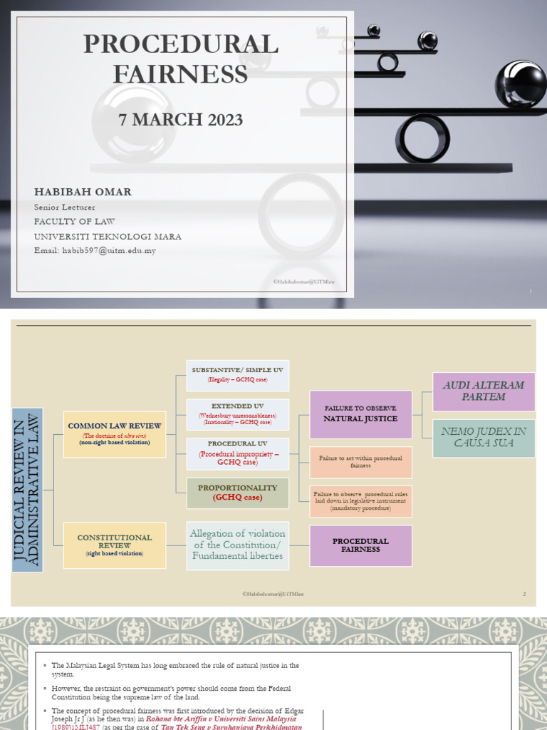 Understanding Procedural Fairness in Law | PDF