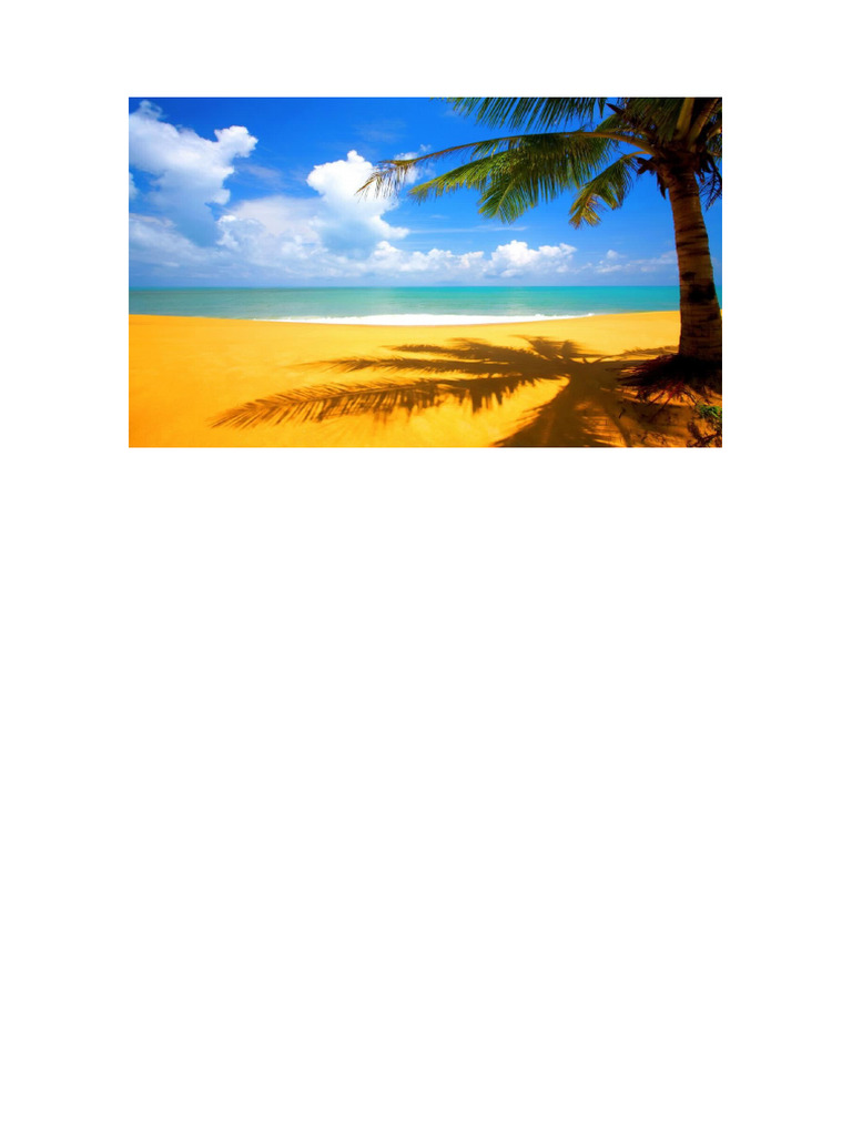Document 4 | PDF