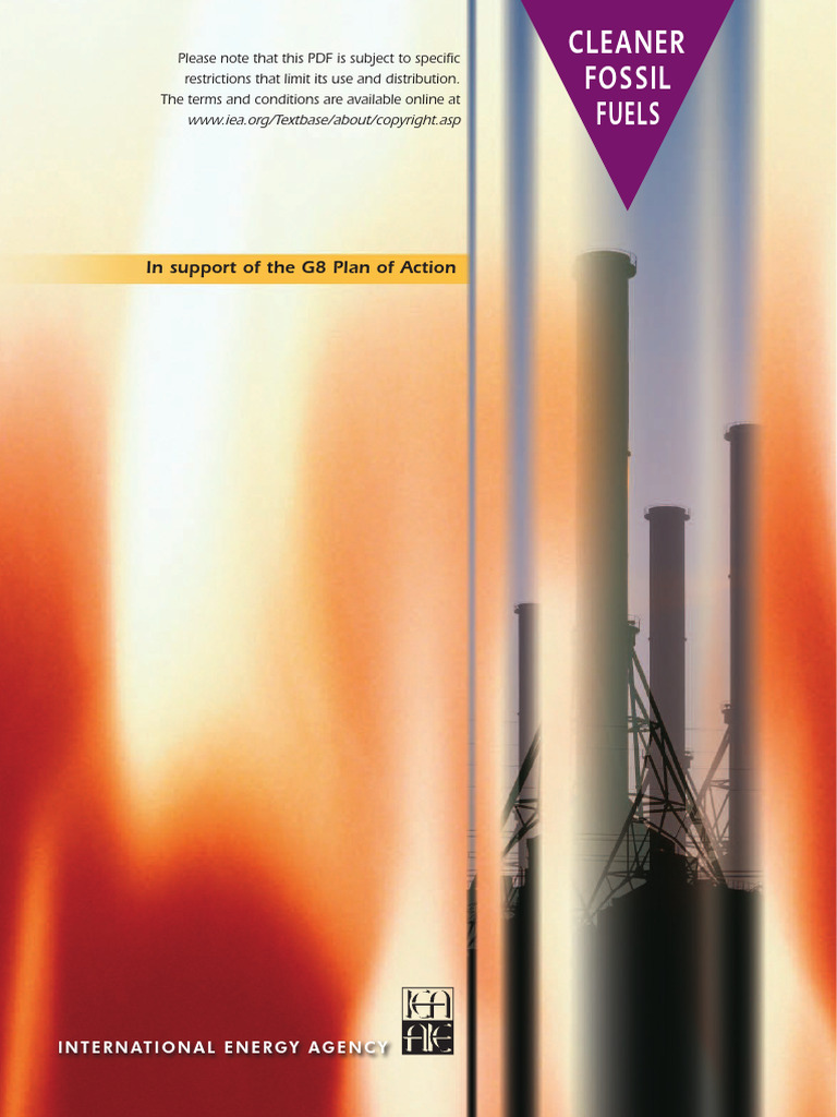 Fossil Fuel Fired Plants PDF Boiler Coal