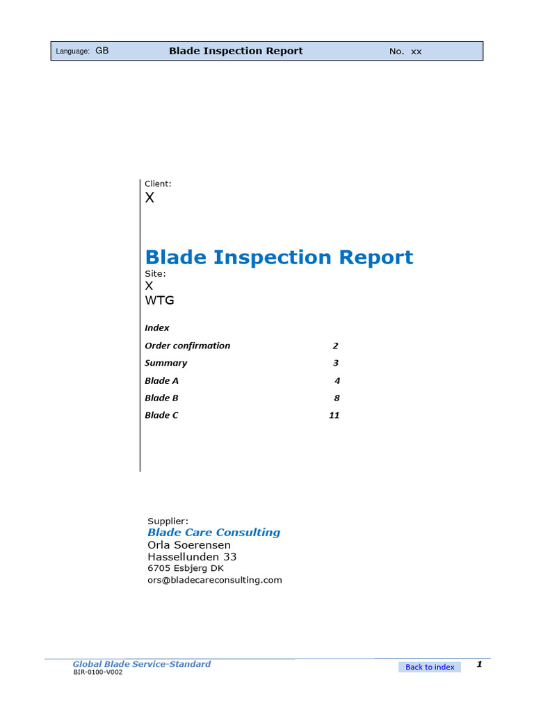 Blade Inspection Report | PDF