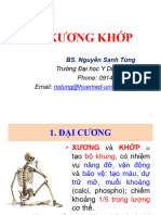 He Xuong Khop