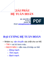 He Tuan Hoan 4t