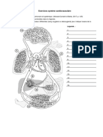 Exercices Système Cardiovasculaire