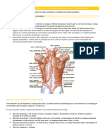 Tema 6