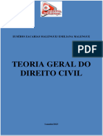 Teoria Geral Do Dto - CIVIL