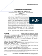 Optical Scattering From Vitreous Floaters