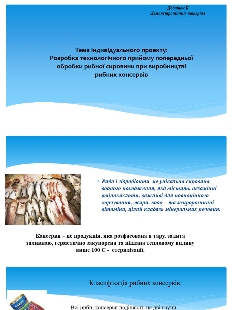 Презентация 1 | PDF