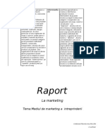 raport_-_mediul_de_marketing_a_un[conspecte.md]