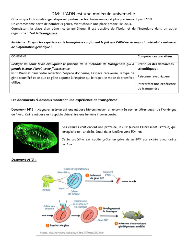 Transgénèse : Principe et Applications | PDF | Protéine fluorescente ...