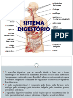 Sistema Digestório