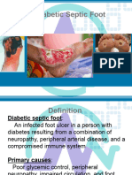 The Diabetic Foot Ulcer