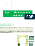 Photosynthesis