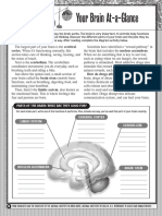 NIDA2-AB Worksheet - p2