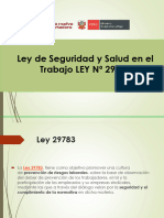 Ley Seguridad Jorge Feliciano