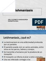 Leshmaniasis Univalle