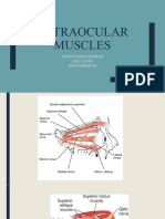 Extraoculer