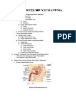 Materi Sistem Reproduksi Manusia
