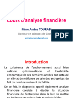 Analyse Du Bilan 1