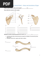 Upper Limb Bone Identification Guide | PDF