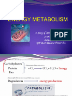 Energy Metabolism