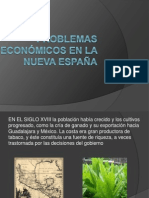 Problemas Económicos en La Nueva España